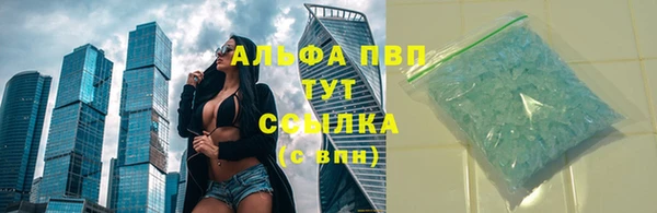 мяу мяу мука Баксан