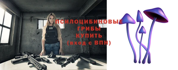 СК Балахна