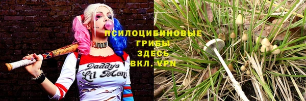 мяу мяу мука Баксан