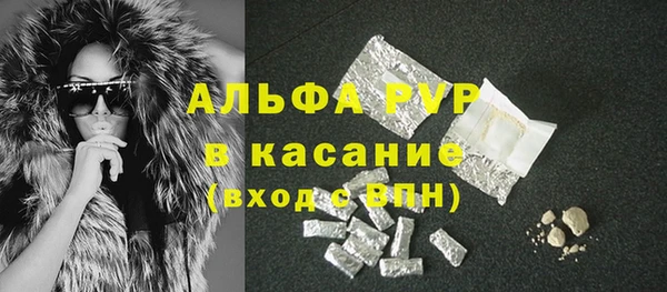 мяу мяу мука Баксан