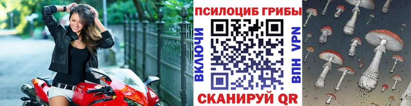 продажа наркотиков  Чёрмоз  Галлюциногенные грибы Cubensis 